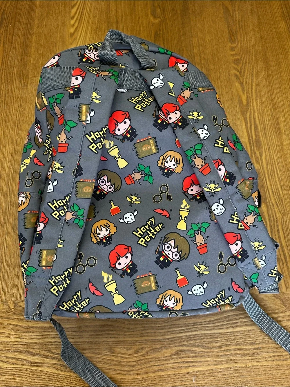 Warner Bros. Grey Harry Potter Character Kids Backpack with Multicolor Print